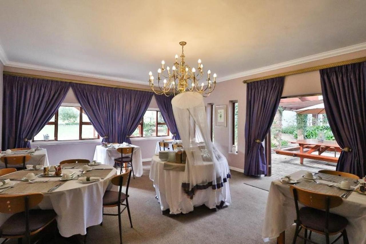 Milkwood Lodge Hermanus Bagian luar foto