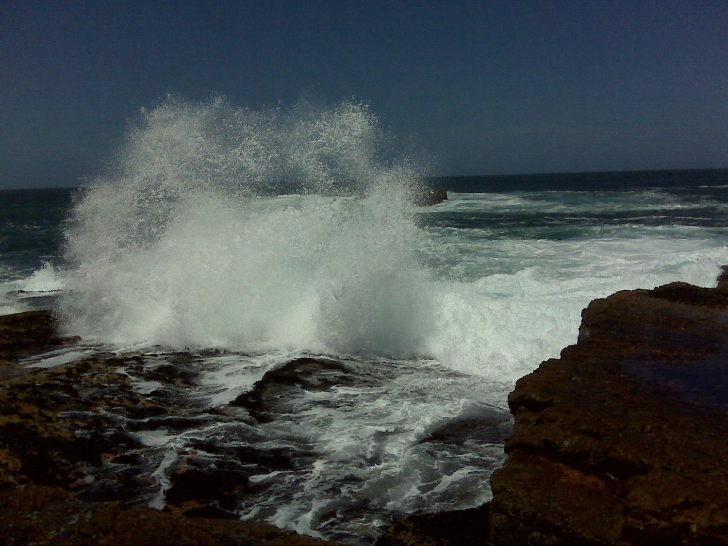 Milkwood Lodge Hermanus Bagian luar foto