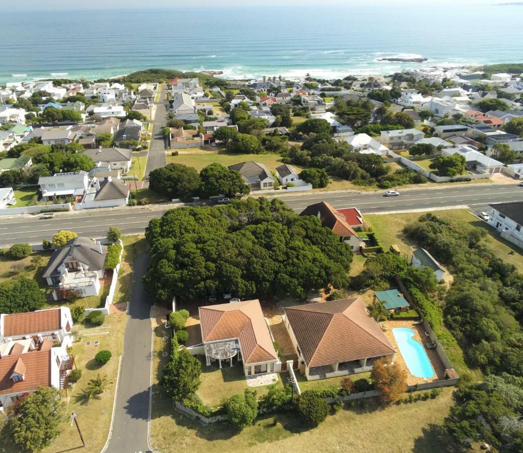 Milkwood Lodge Hermanus Bagian luar foto