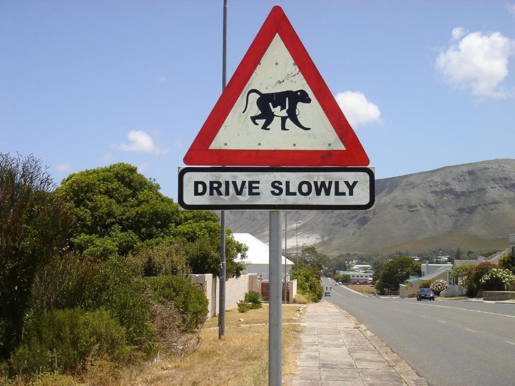 Milkwood Lodge Hermanus Ruang foto